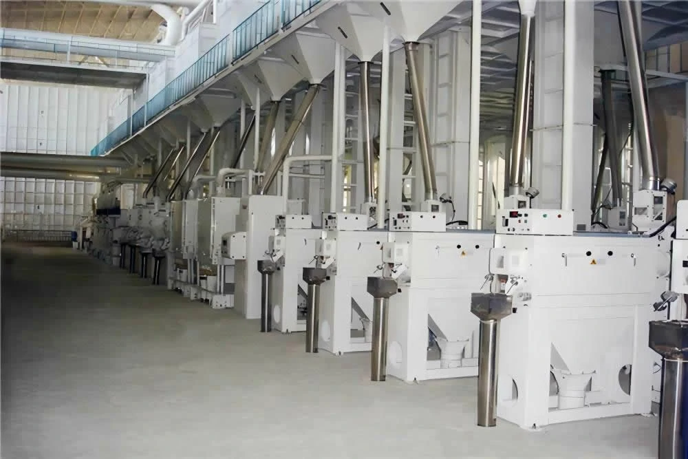 1000 tpd rice mill plant layout design